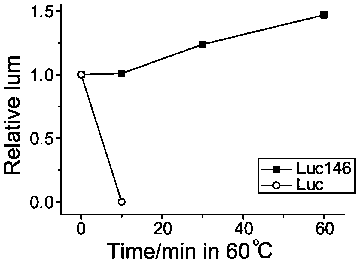 Rapid detection method of treponema pallidum antibody in serum and application thereof