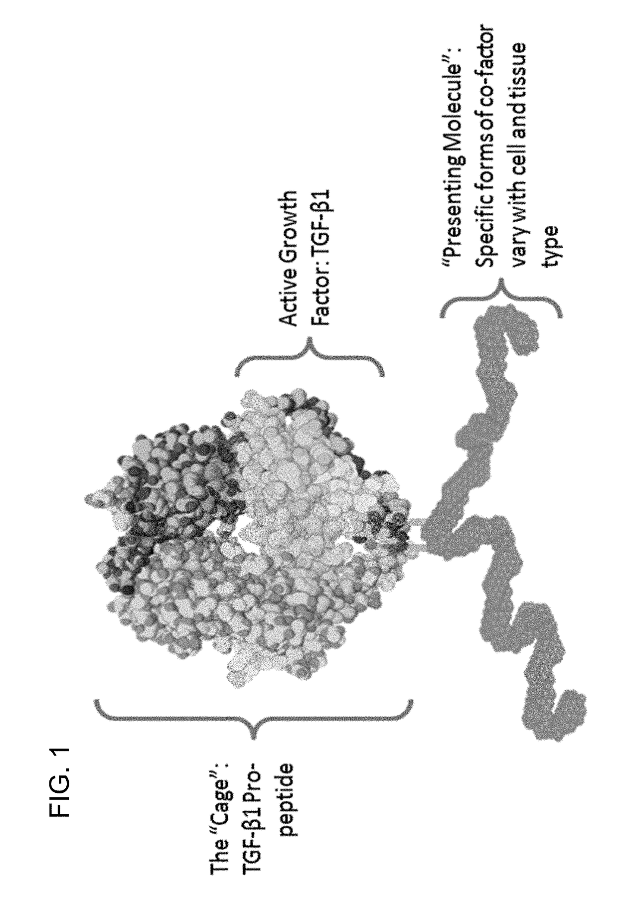 Isoform-specific, context-permissive tgfb1 inhibitors and use thereof