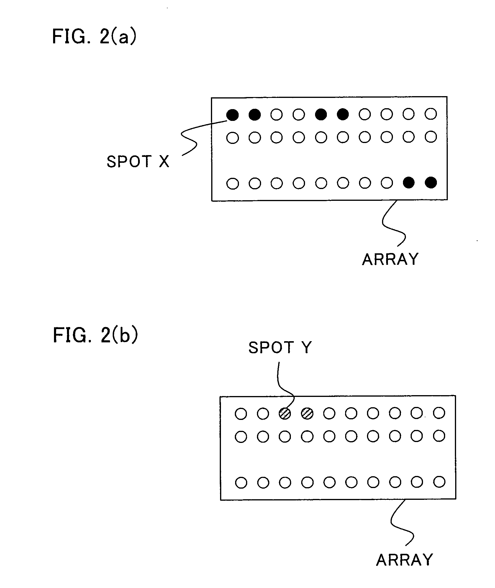 Array having substances fixed on support arranged with chromosomal order or sequence position information added thereto, process for producing the same, analytical system using the array and use of these