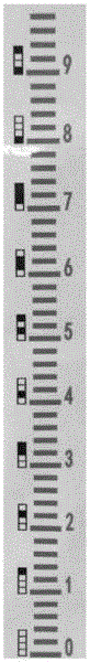 Water level identification method based on binary coding character staff gauge and image processing