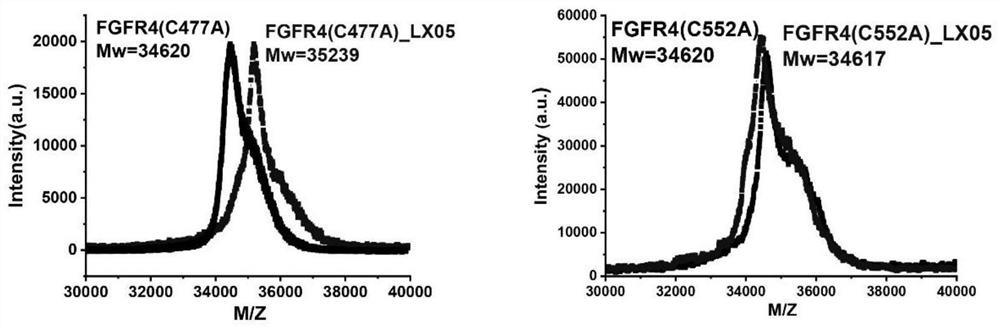FGFR4 inhibitor, composition and use thereof in drug preparation