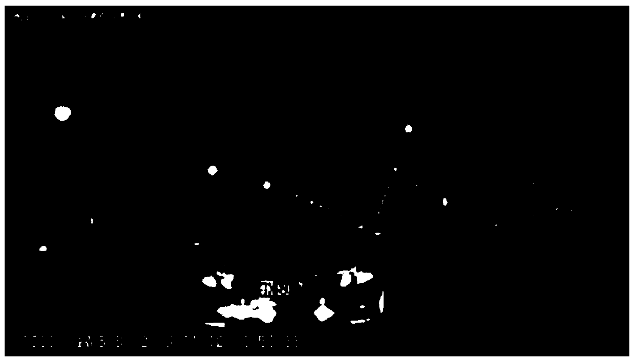 Image-based Taillight Detection and Recognition Method