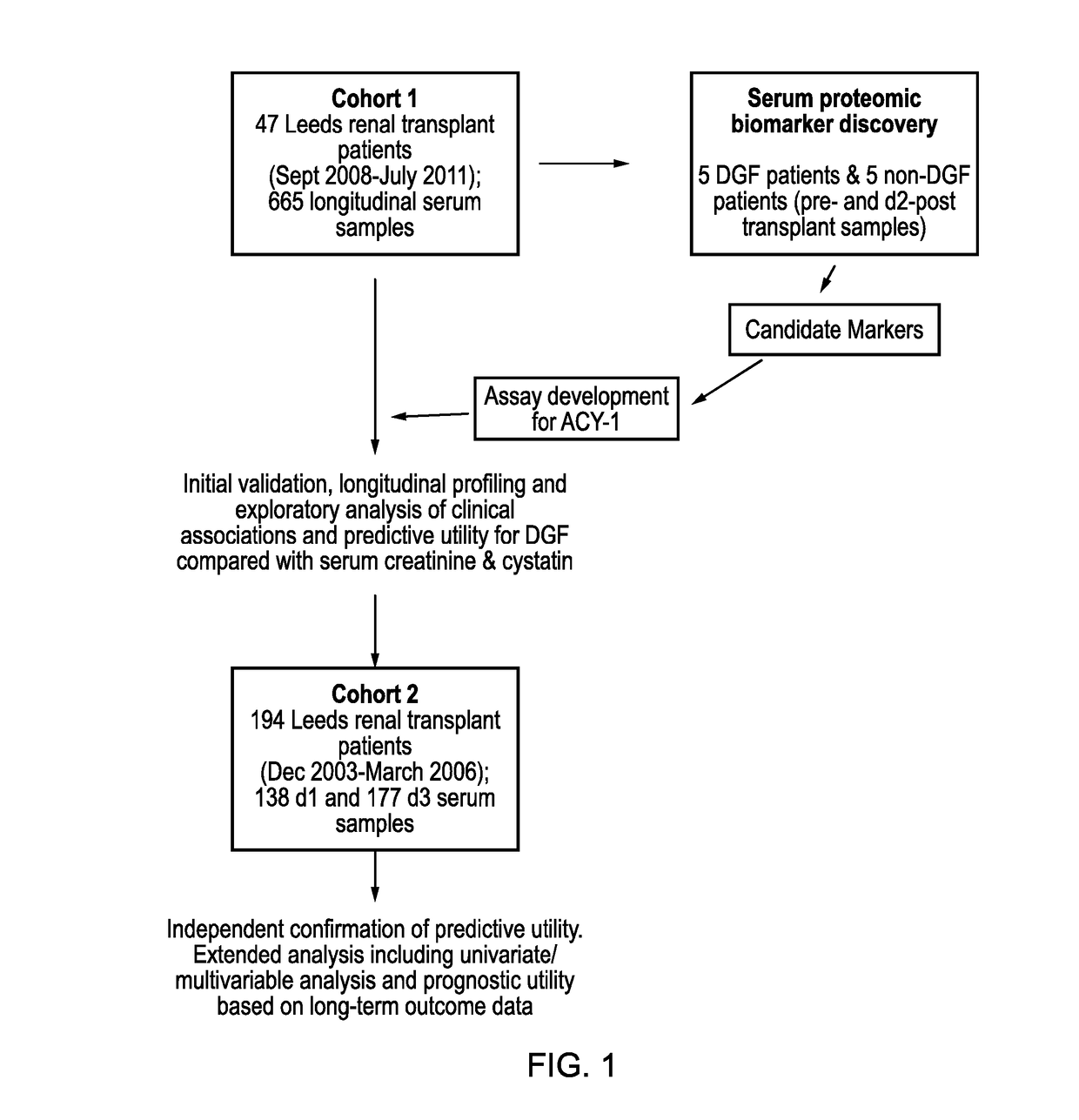 Use of ACY-1 as a marker of ischaemia/reperfusion, delayed graft function and graft viability as well as method thereof