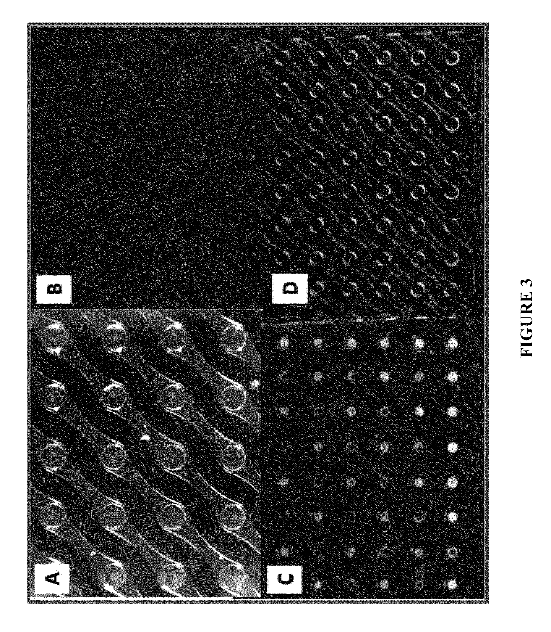 Nucleic acid sample preparation