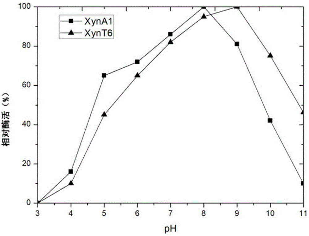 Alkaline xylanase mutant and application thereof