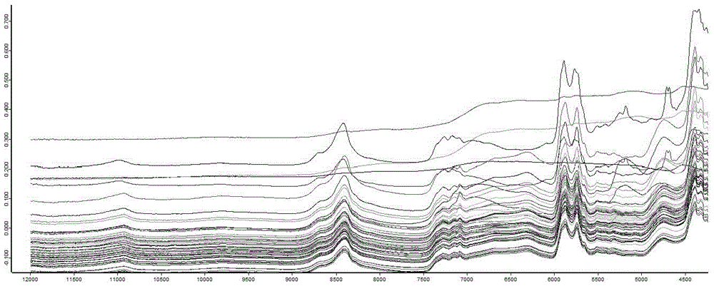 A model building method for rapid detection of borneol quality by near-infrared spectroscopy