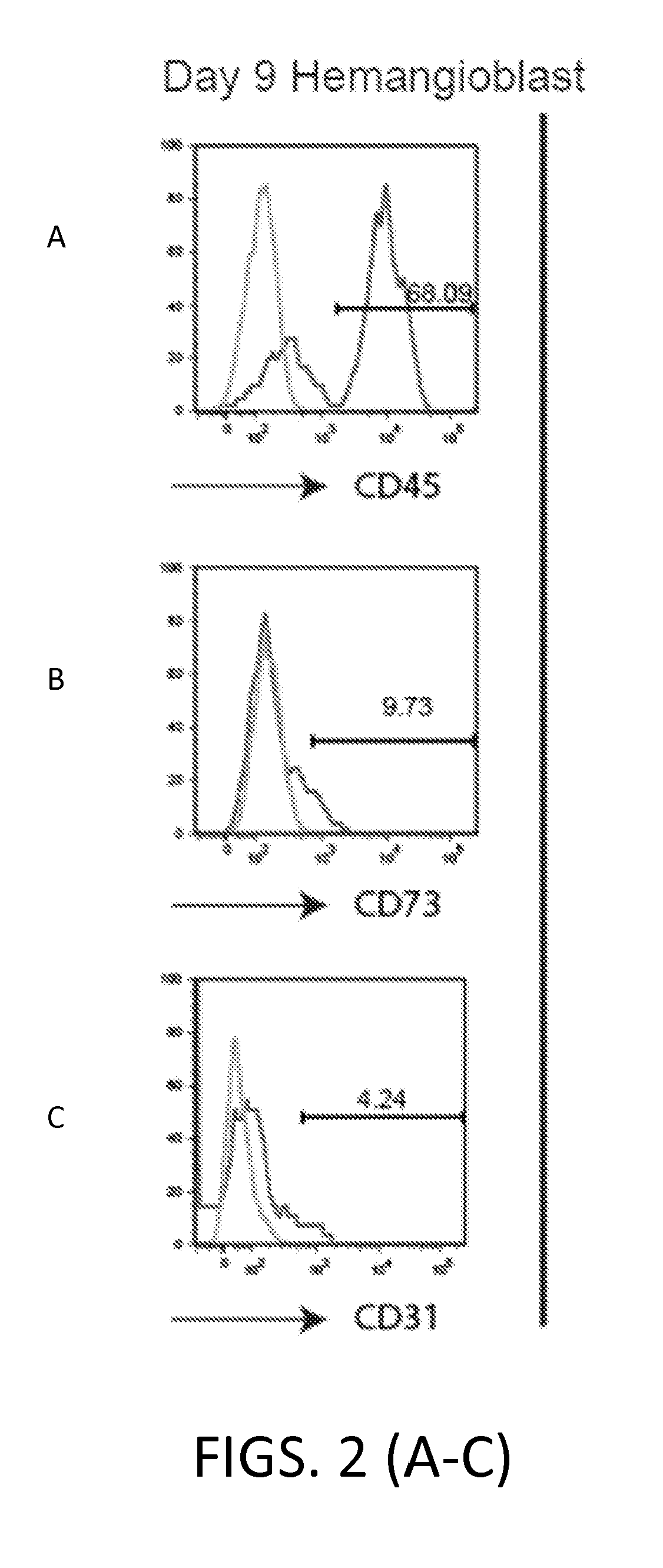 Mesenchymal-like stem cells derived from human embryonic stem cells, methods and uses thereof