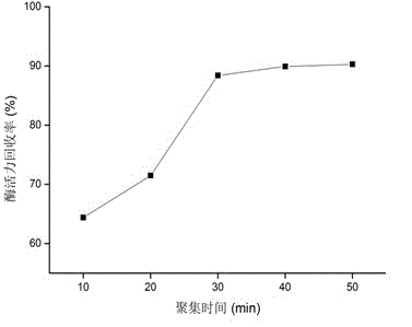 Method for preparing soybean peptides from carrier-free immobilized enzyme