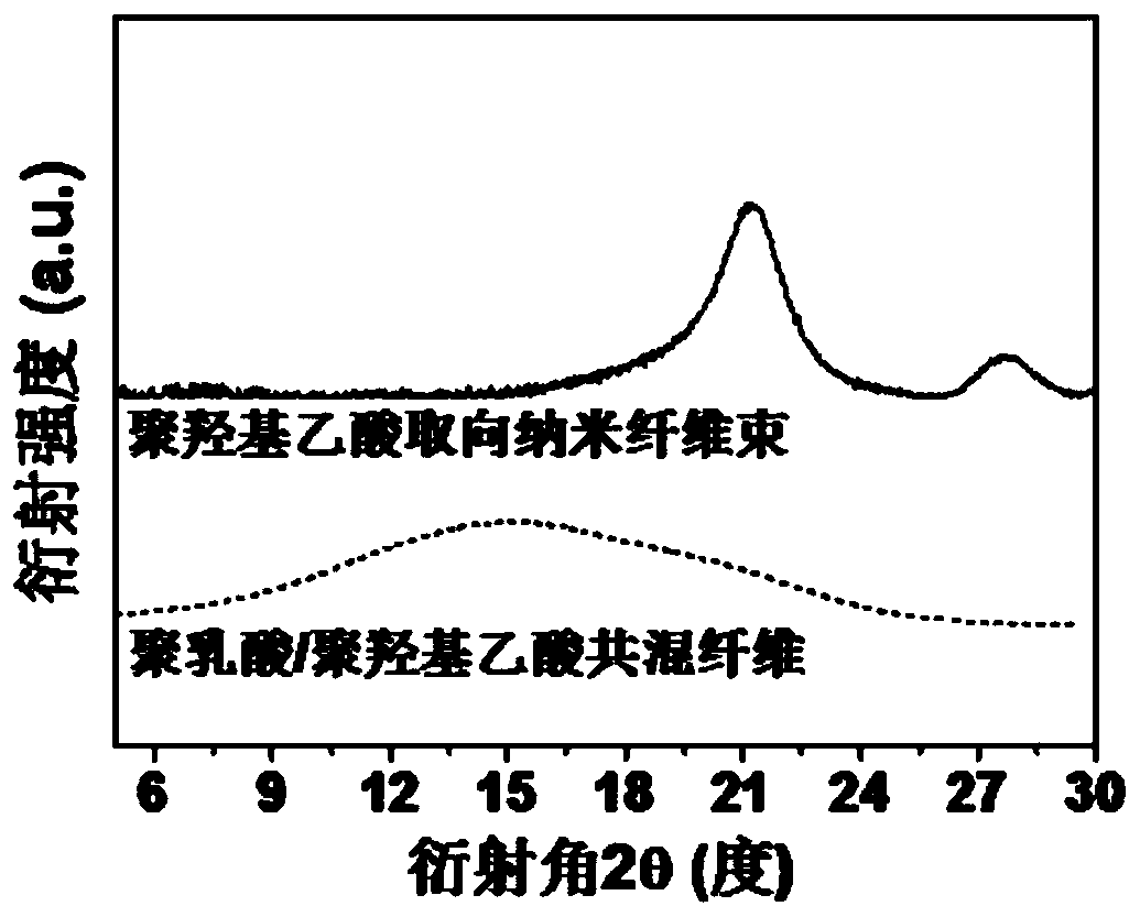 A kind of polyglycolic acid oriented nanofiber bundle and preparation method thereof