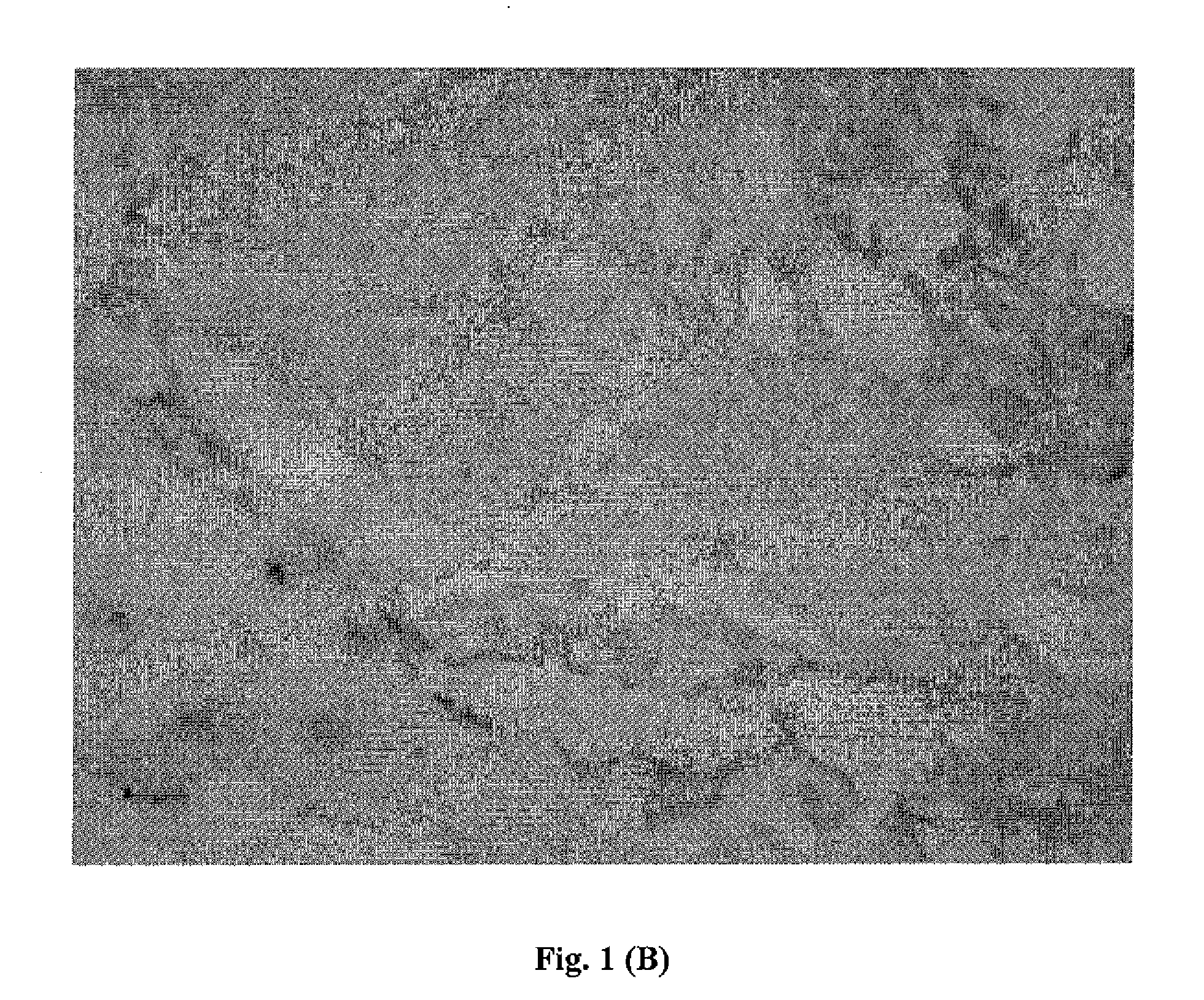 Detection of Unhealthy Cell and Uses Thereof