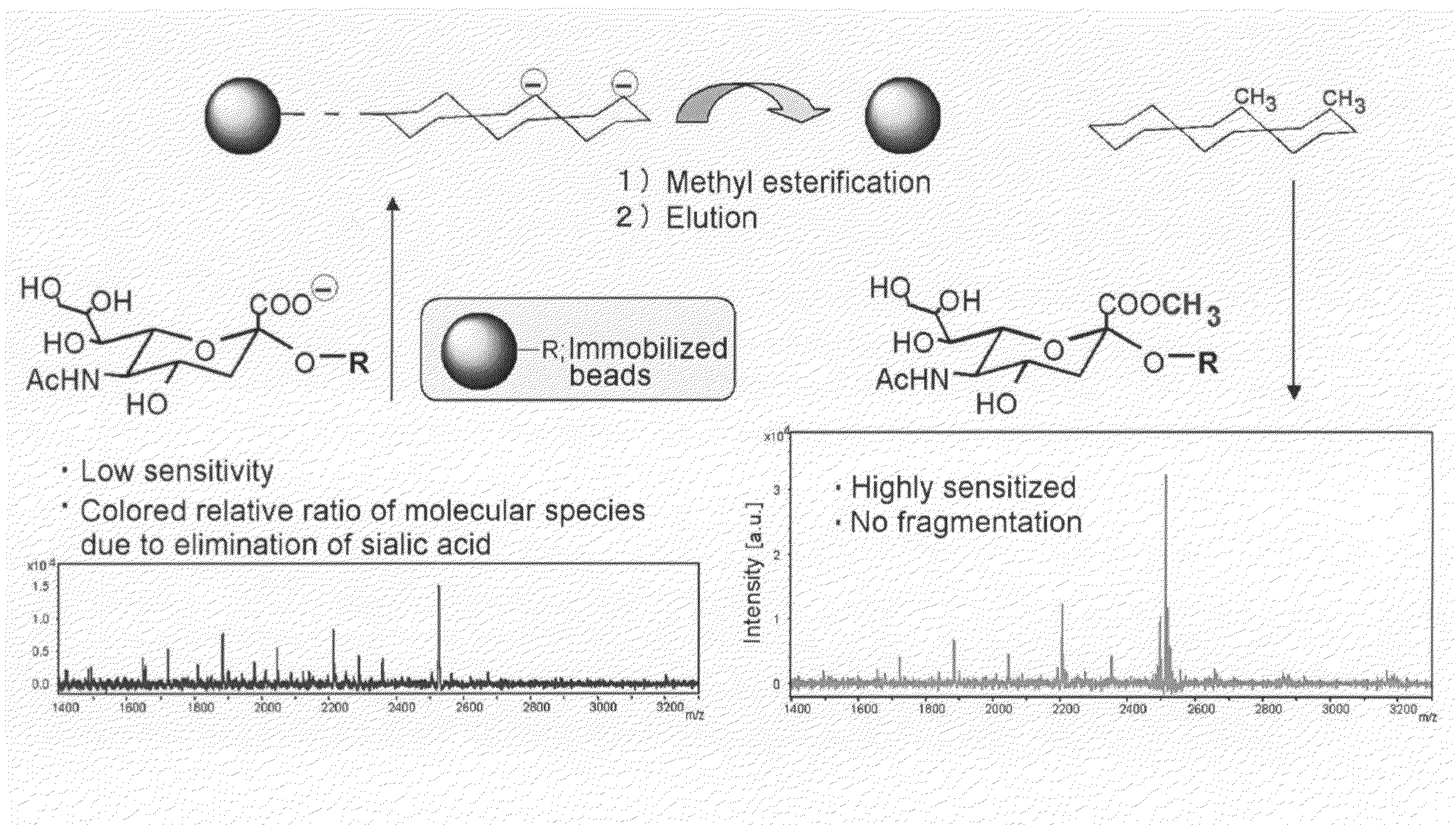 Method of Esterifying Bio-Related Molecule for Mass Spectrometry and Method of Mass Spectrometry of Obtained Esterified Derivative