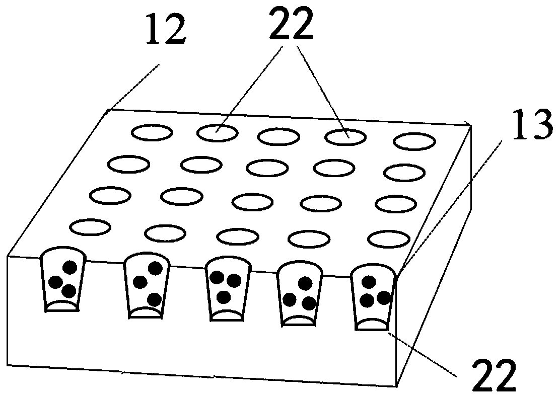 Biological detection device adopting gold nanopore array chip and detection method