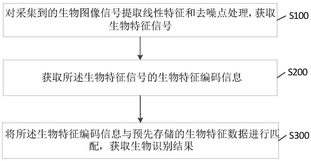 A biometric chip, system and method