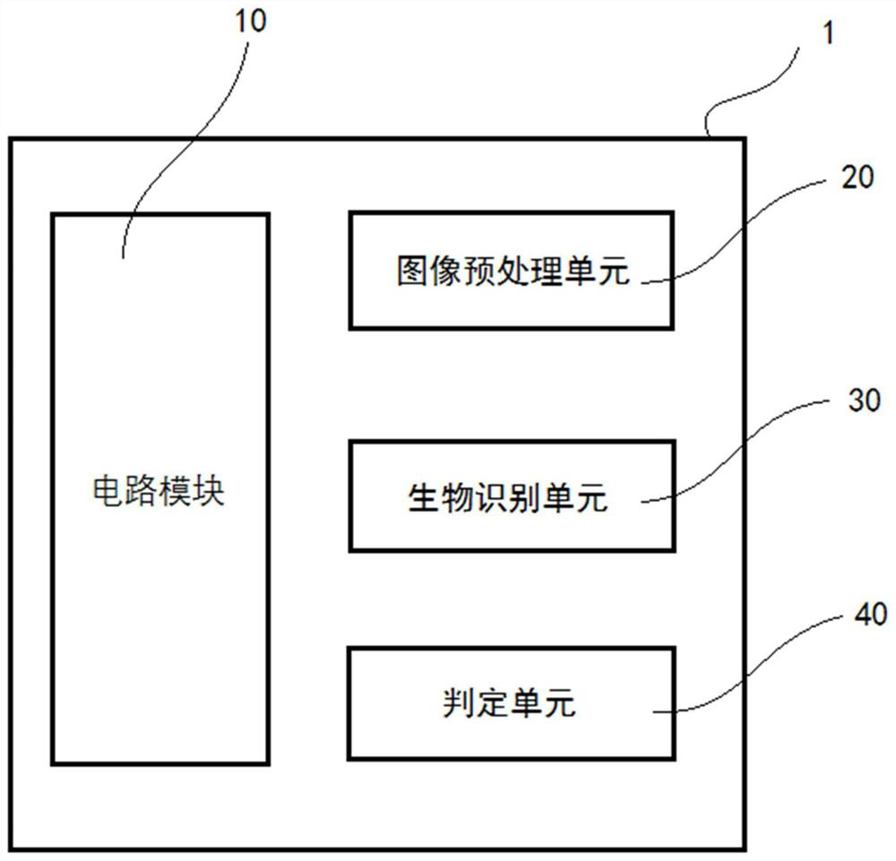 A biometric chip, system and method