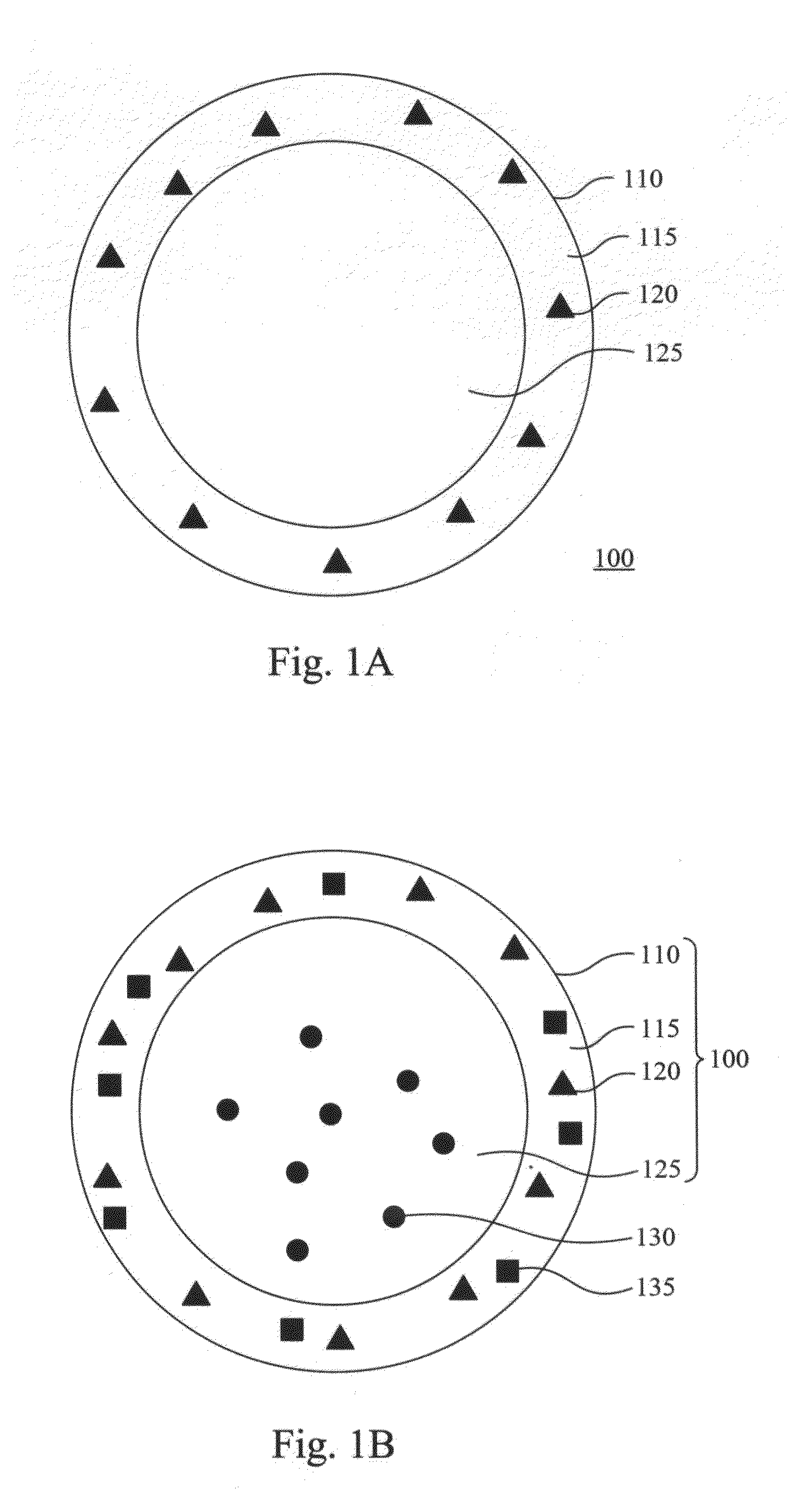 Double emulsion core-shell nano-structure and preparation methods thereof