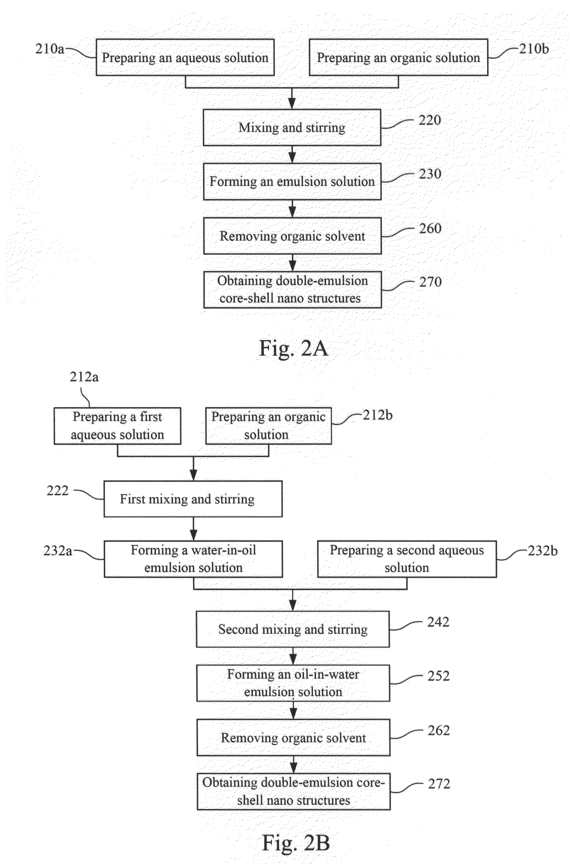 Double emulsion core-shell nano-structure and preparation methods thereof