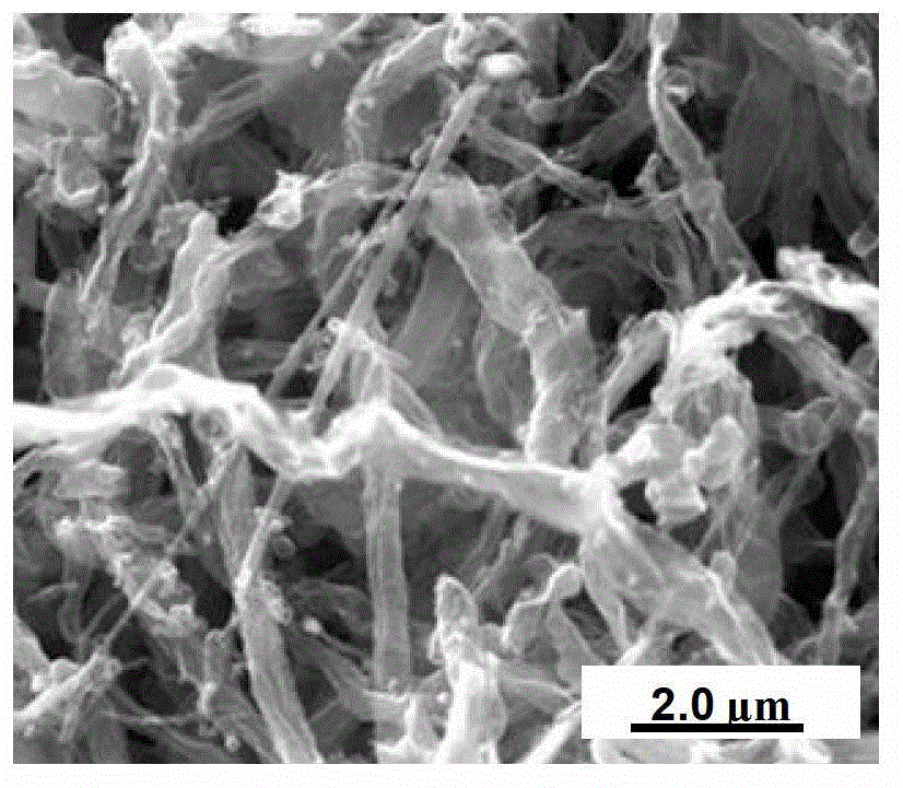 Method for preparing nitrogen-containing carbon nano tube