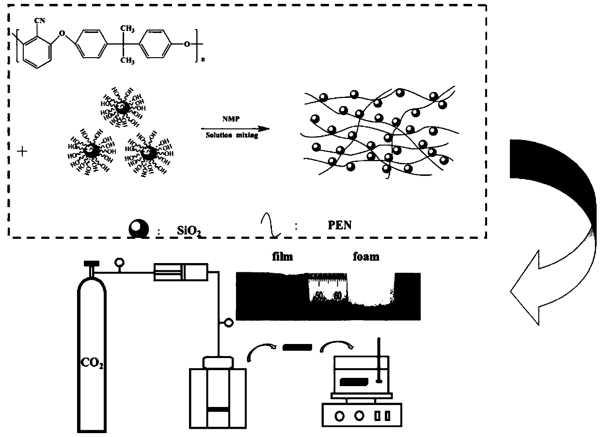 A low-dielectric-constant poly(arylene ether nitrile) foam material having a double-peak foam structure, and a preparing method and use thereof