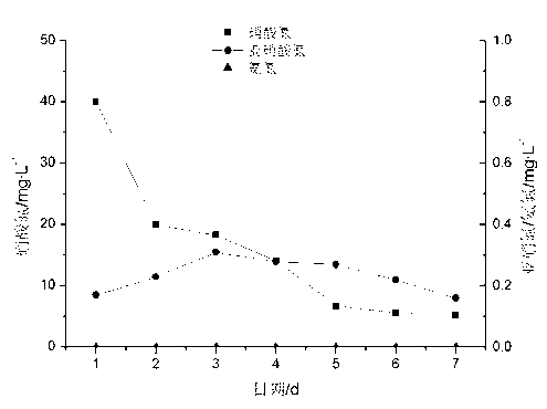 Iron matrix autotrophic denitrification microbacterium strain and application thereof