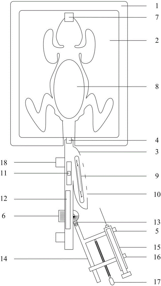 Injecting and fixing device for mouse