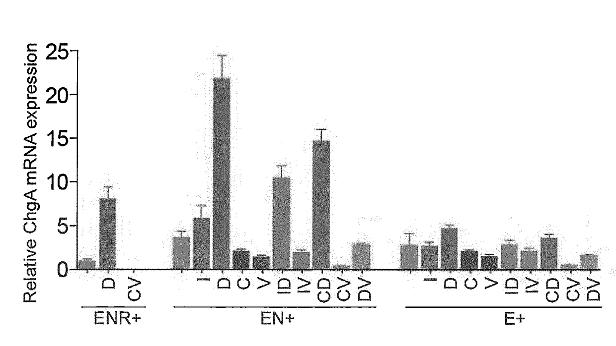 Production of Differentiated Enteroendocrine Cells and Insulin Producing Cells