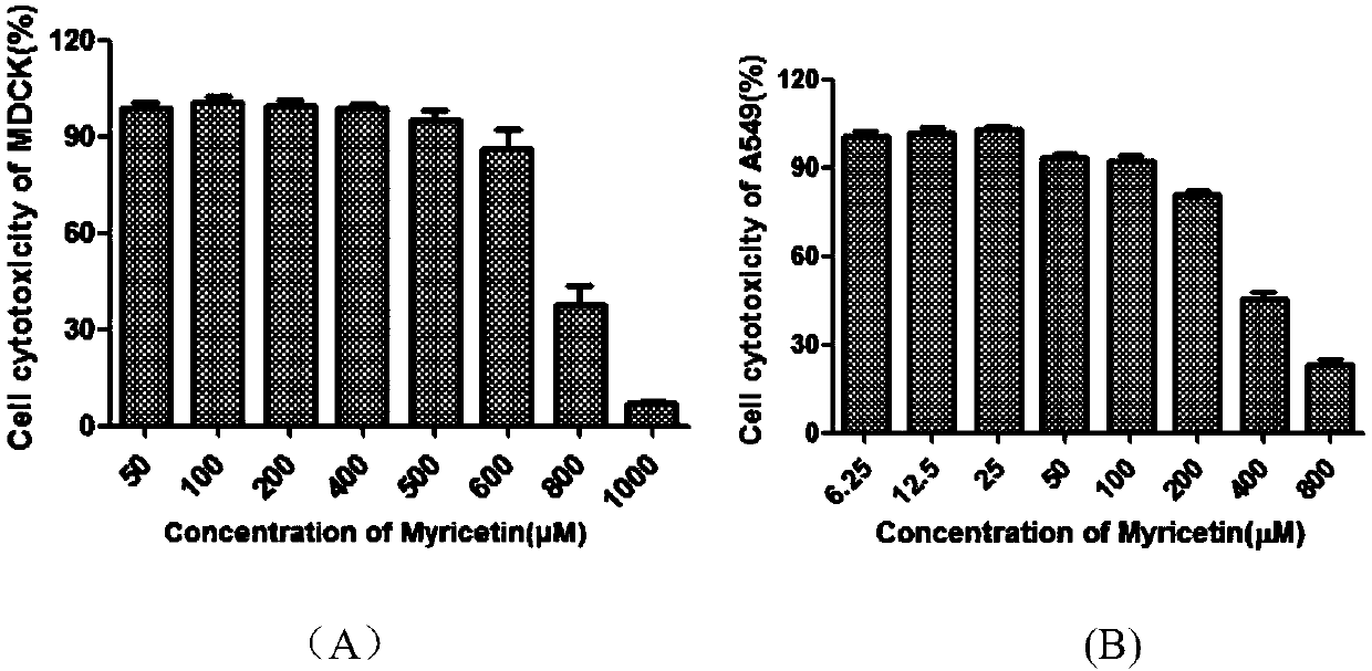 Application of myricetin in preparation of anti-influenza-virus drugs