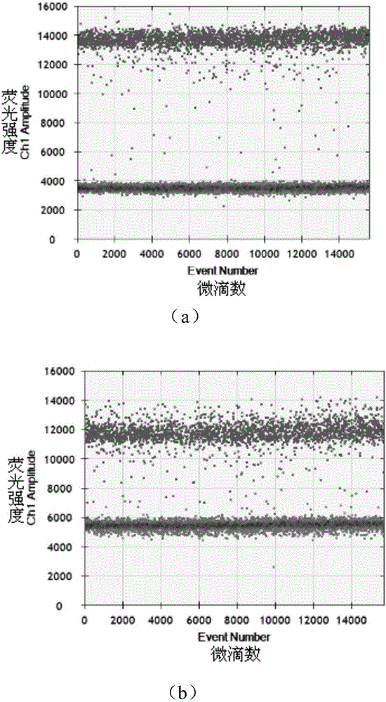 Glyphosate-resistant selective marker gene and application thereof in maize transgenic technology