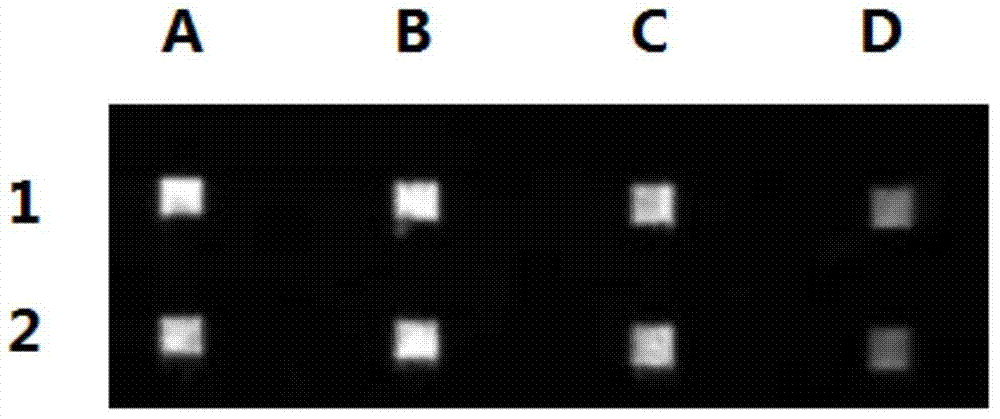 Automatic analysis instrument and system for microfluidic immunodetection chip