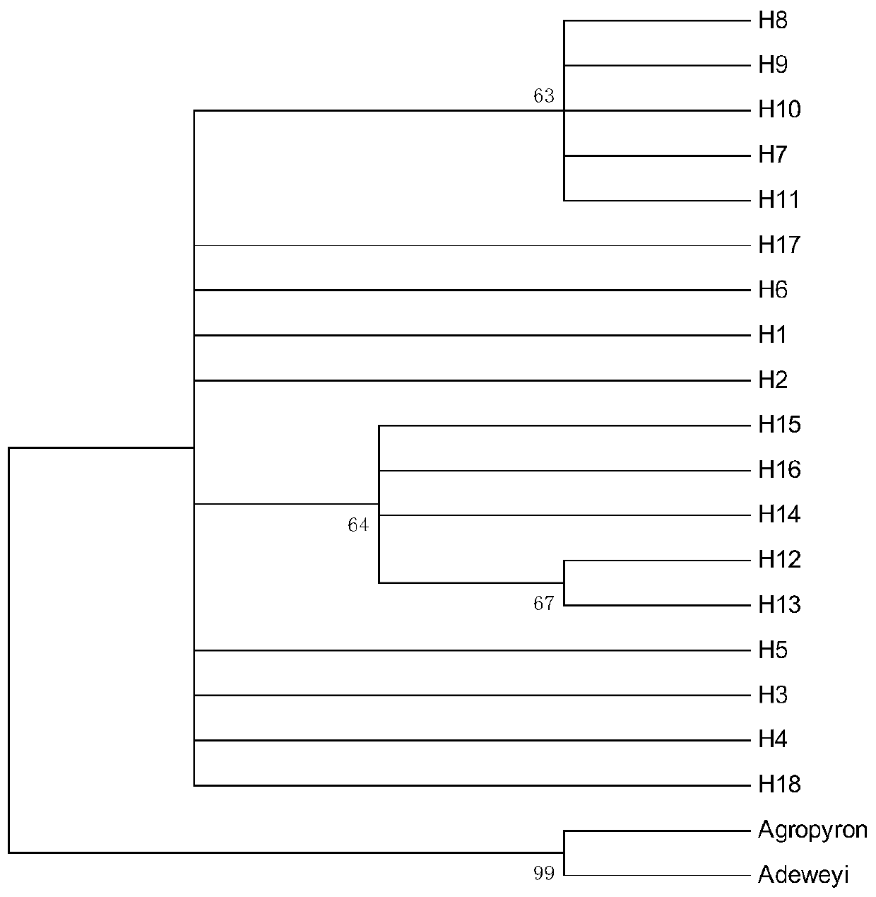Method for researching polymorphism of different geographical populations cpDNatnT-trnL of Snowfox Crested wheatgrass