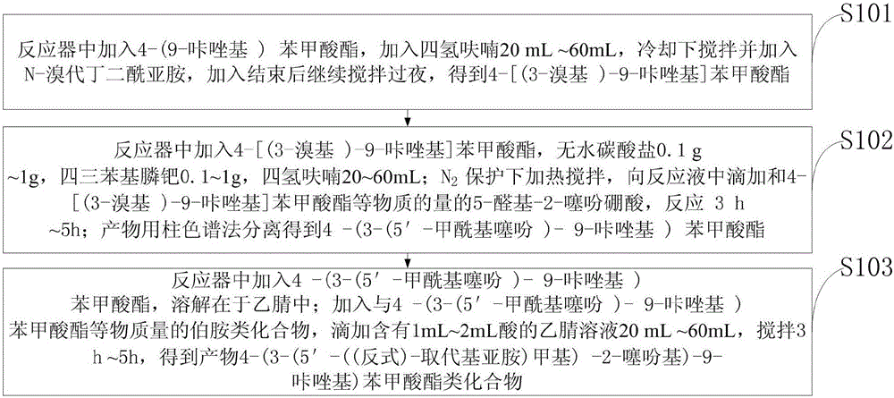 Benzoate compound and synthesis method and application thereof