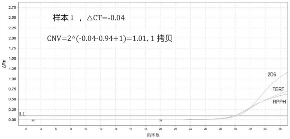 Primer probe combination, kit and method for detecting copy number variation and genotyping of human CYP2D6