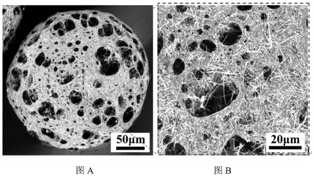 Acicular ha/pblg porous composite microcarrier material for bone tissue engineering and preparation method thereof