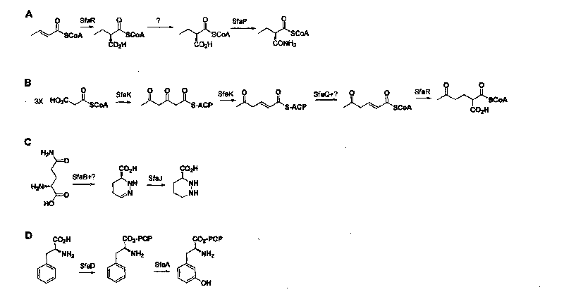 Biosynthetic gene cluster of sanglifehrin