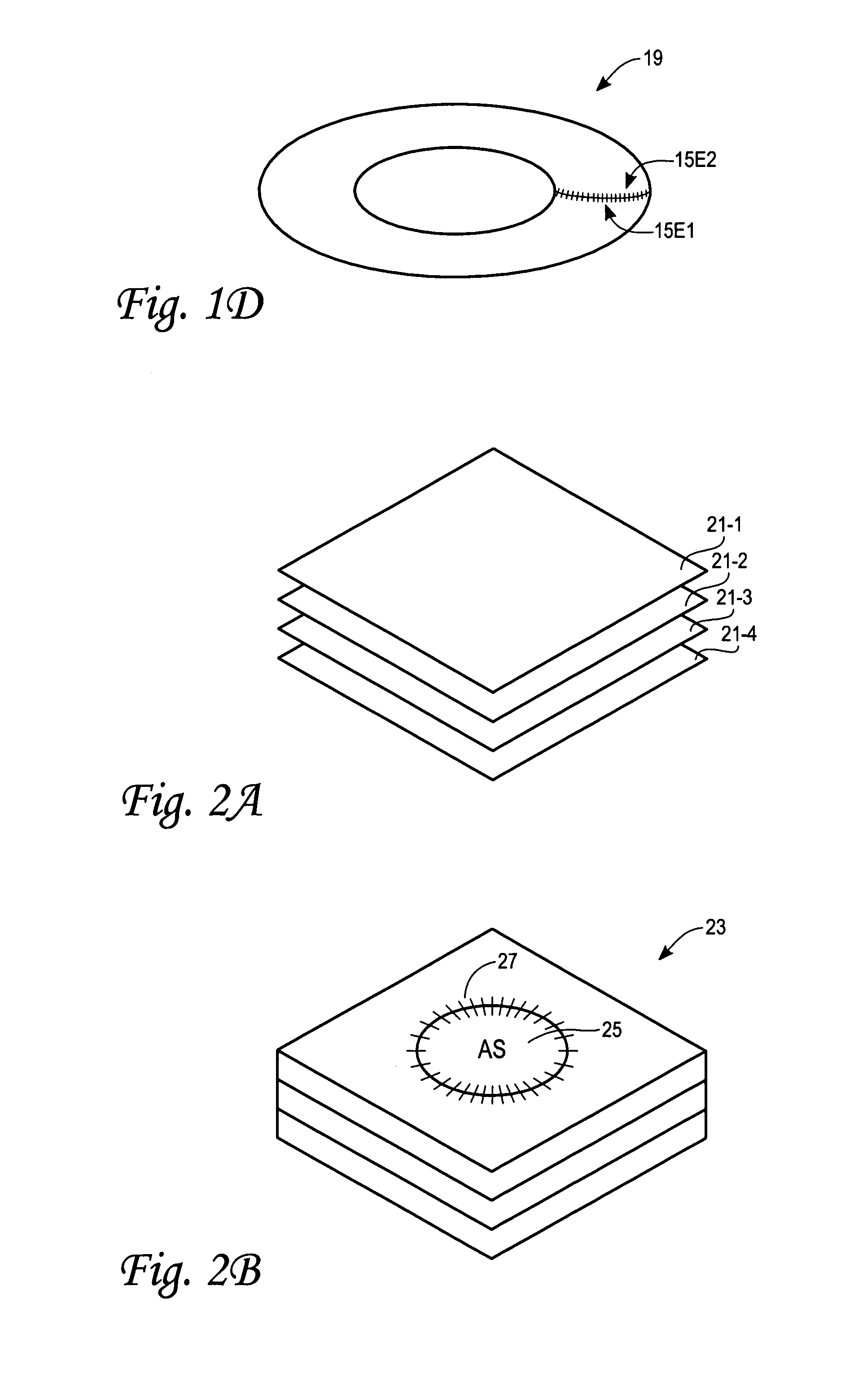 Provision of carbon nanotube bucky paper cages for immune shielding of cells, tissues, and medical devices