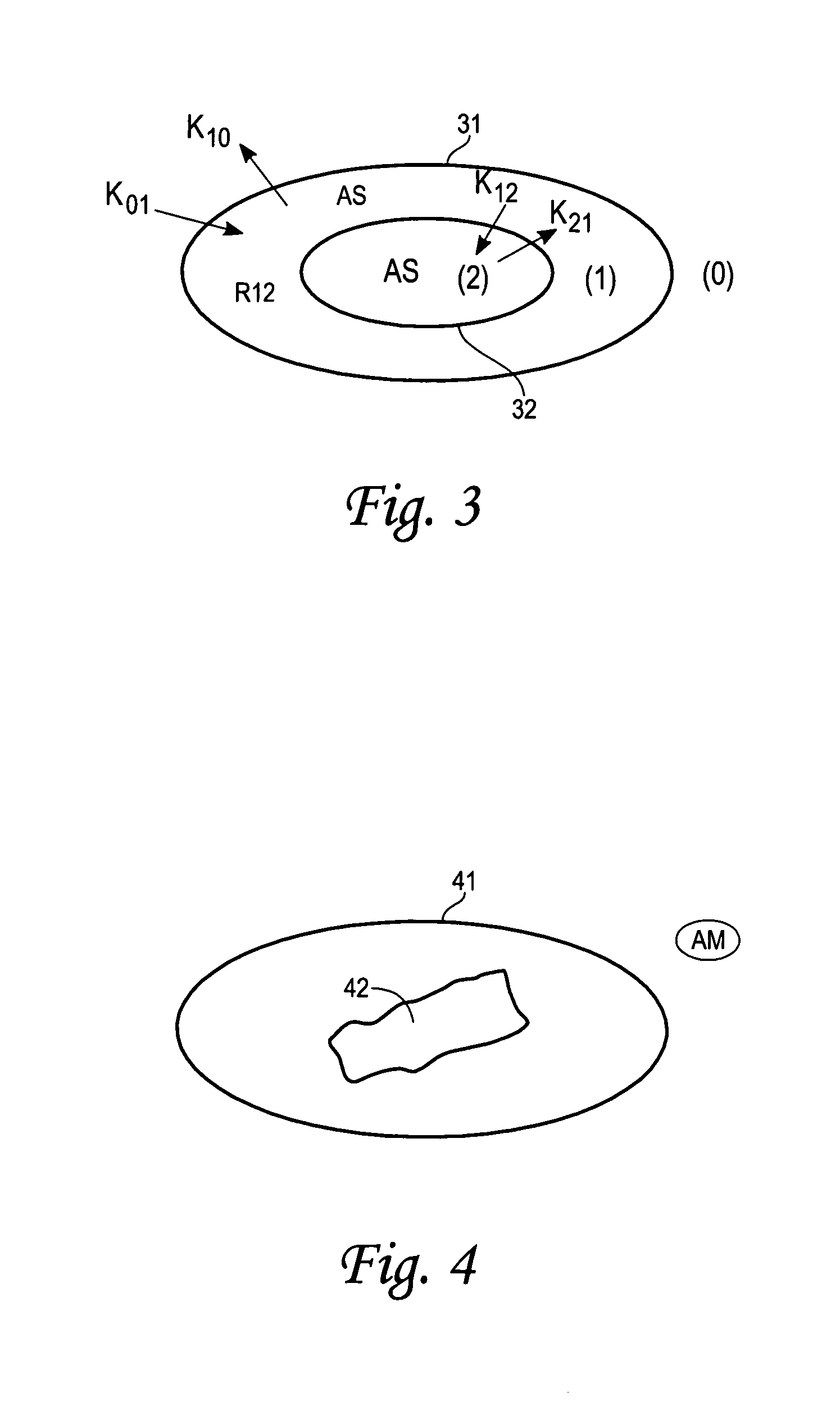 Provision of carbon nanotube bucky paper cages for immune shielding of cells, tissues, and medical devices