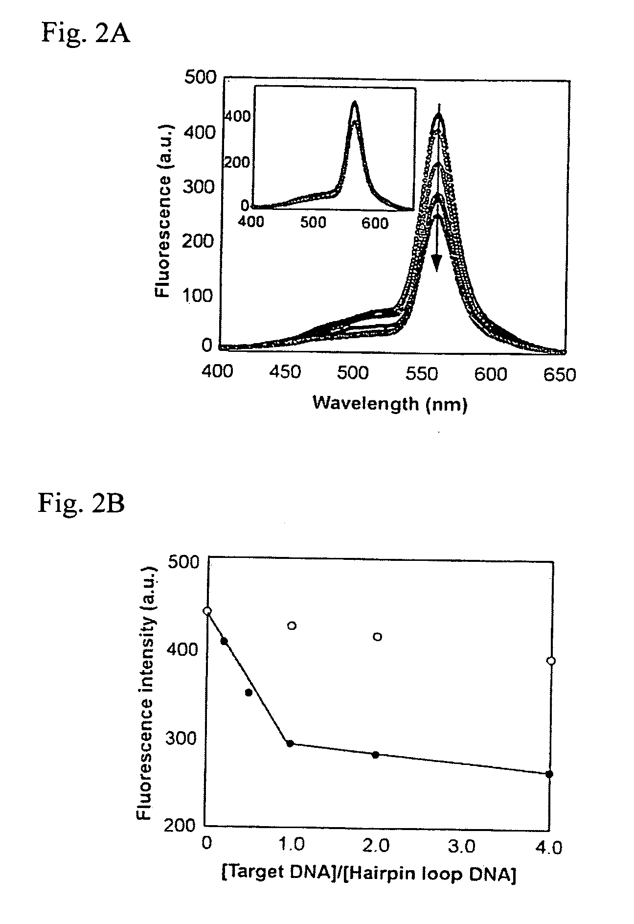 Fluorescent probe and fluorescence detecting method