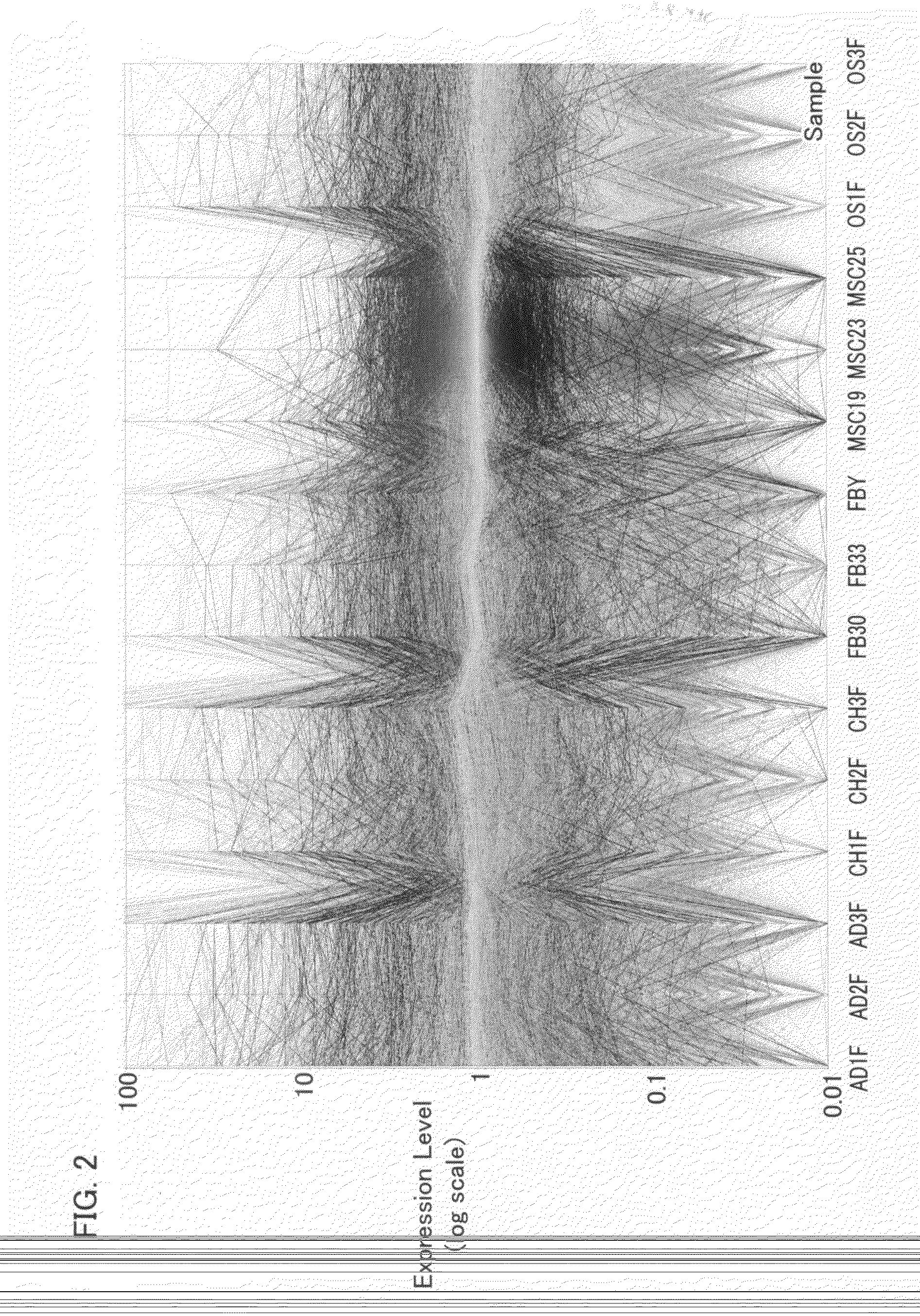 Method for Distinguishing Mesenchymal Stem Cell Using Molecular Marker and Use Thereof