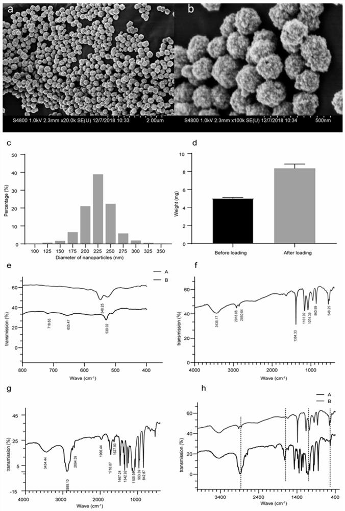 Hydrogen sulfide controlled-release brain-targeted nano system for protecting nervous system after sudden cardiac arrest and preparation method thereof