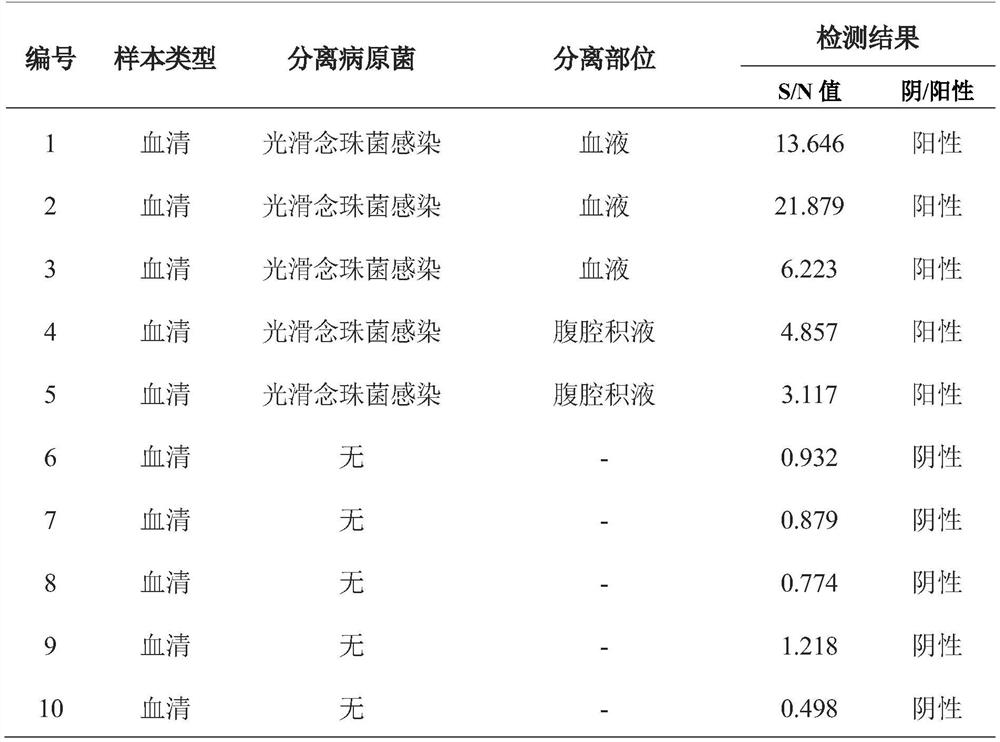 ELISA detection method for detecting human serum candida glabrata enolase IgG antibody