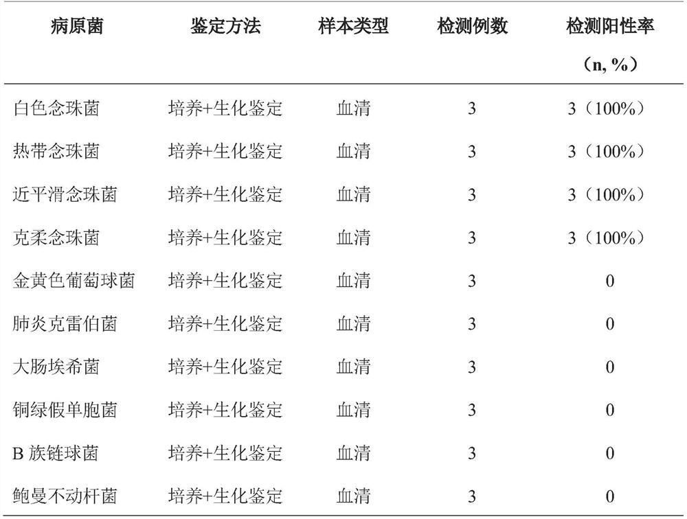 ELISA detection method for detecting human serum candida glabrata enolase IgG antibody