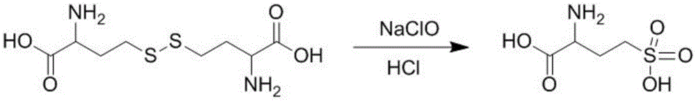 DL-homocysteic acid preparation method