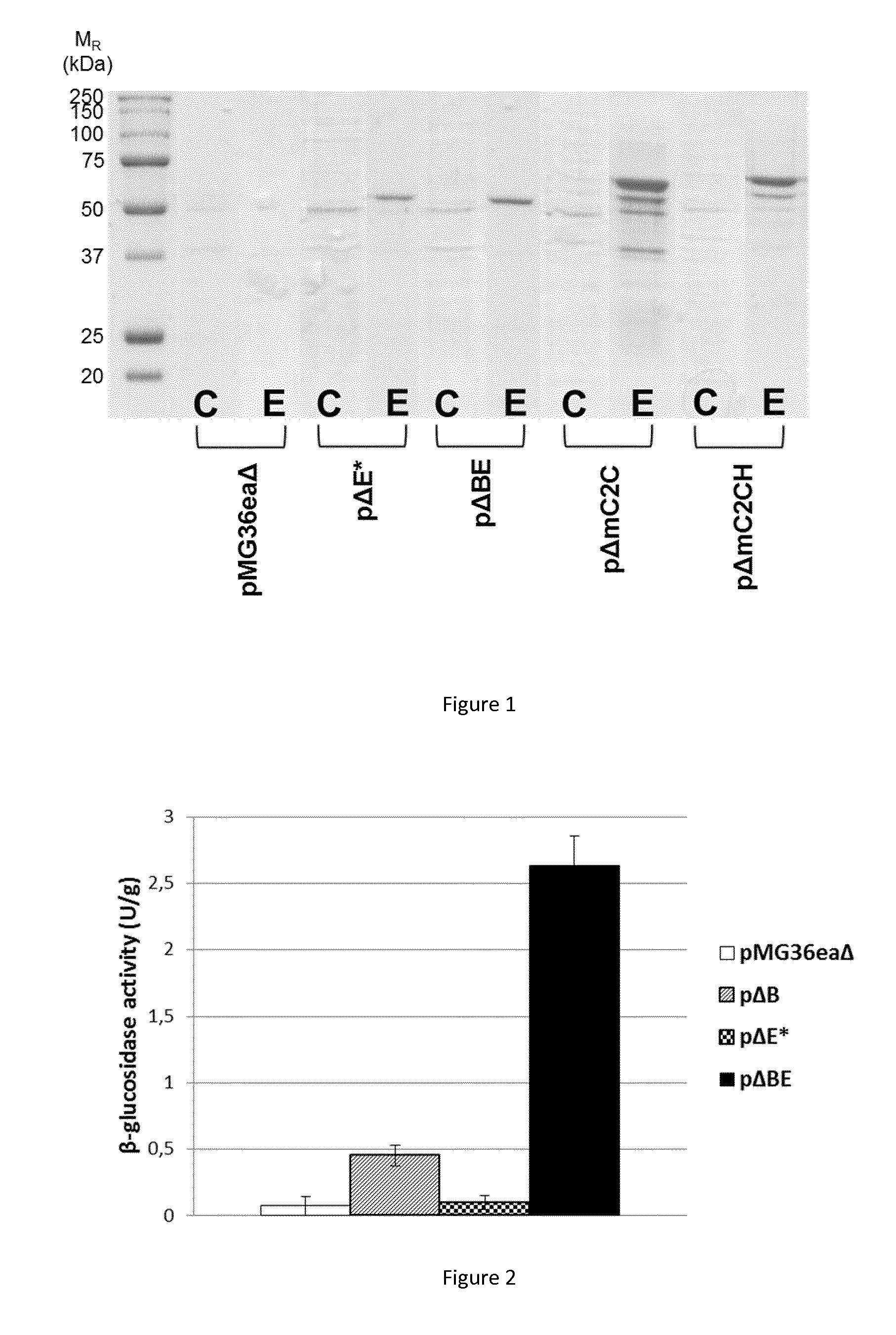 Recombinant cellulosome complex and uses thereof