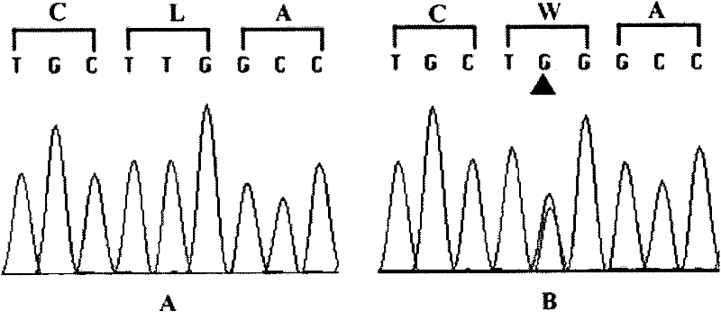 Identification method for genetic disease-related gene