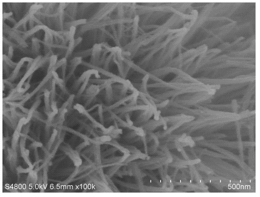 Three-dimensional flower-like TiO2 microspheres composed of nanowires and preparation method thereof