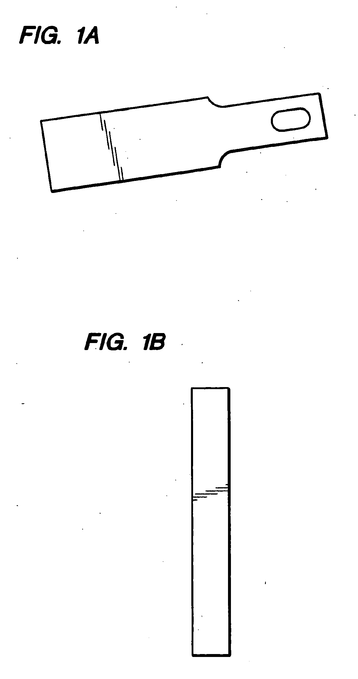 Apparatus and Method for Predicting Meat Tenderness