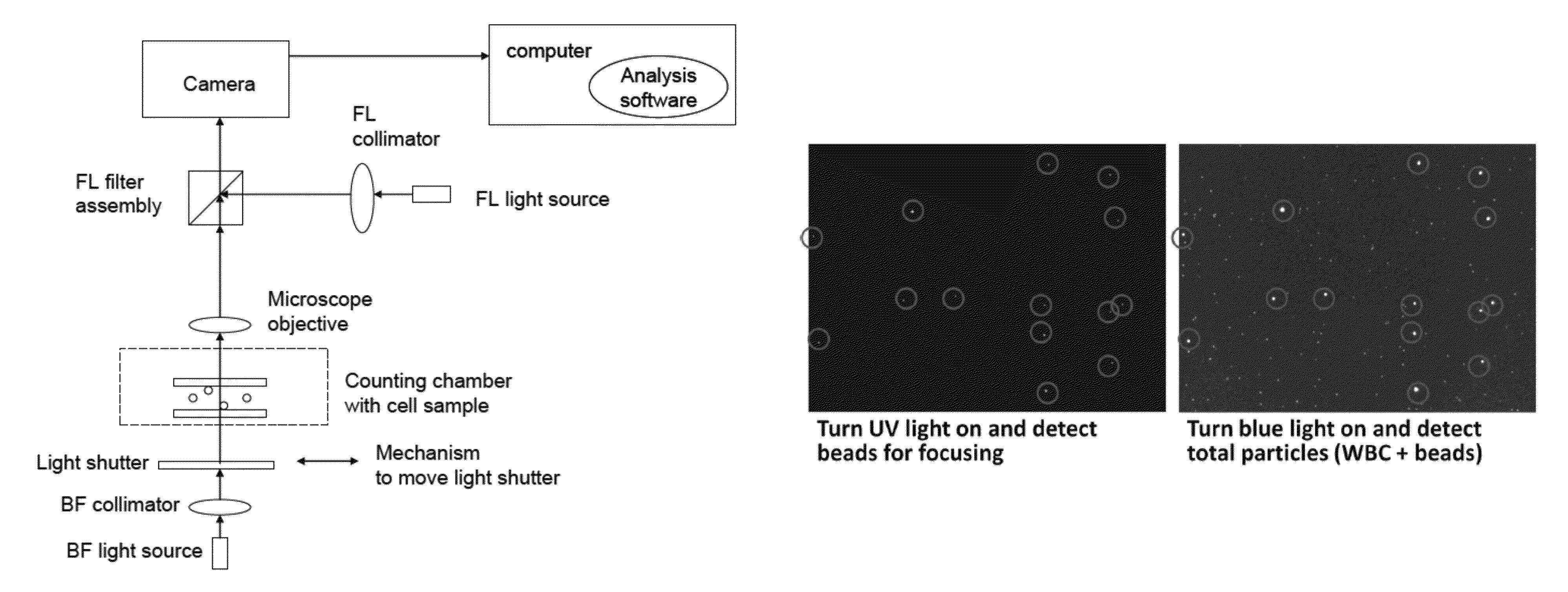 Internal focus reference beads for imaging cytometry