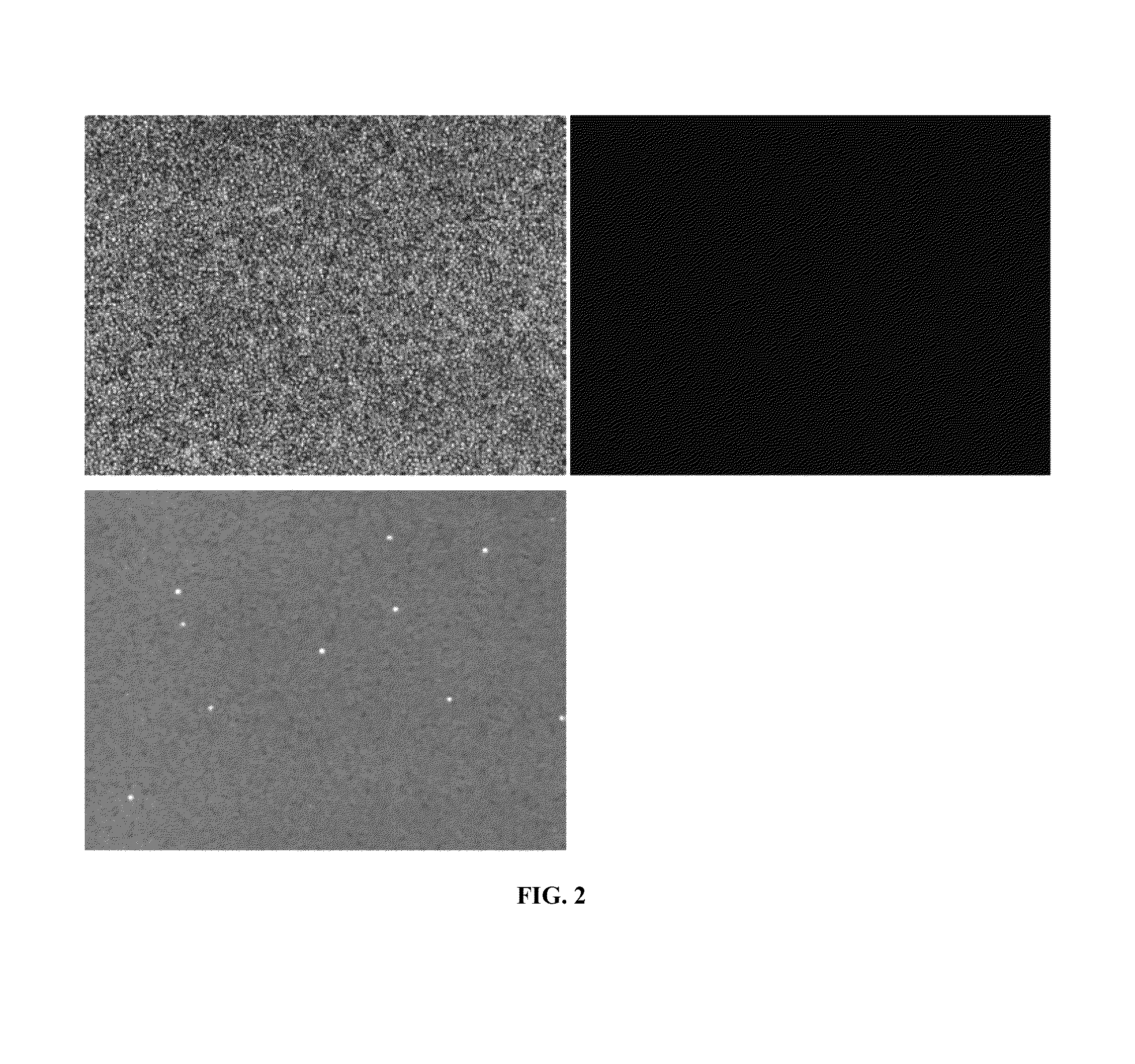 Internal focus reference beads for imaging cytometry