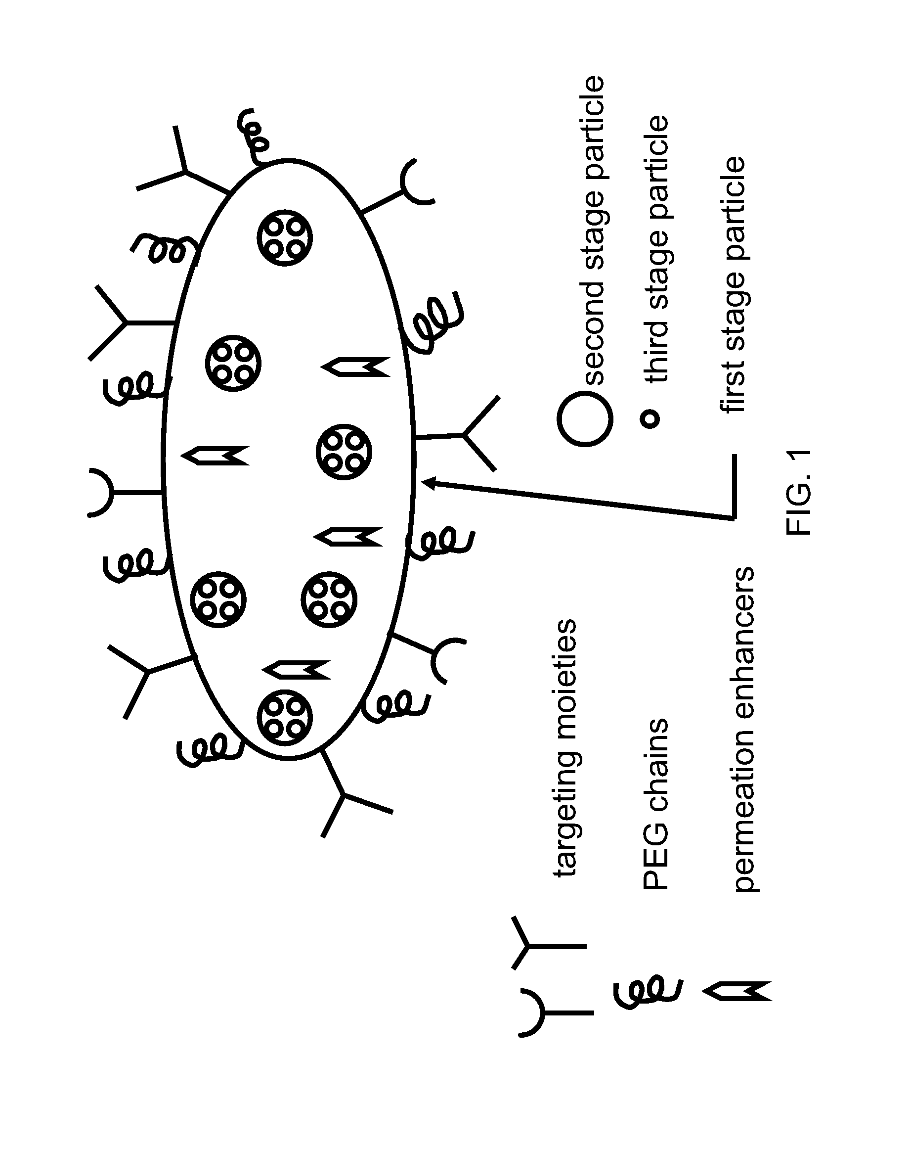 Multistage delivery of active agents
