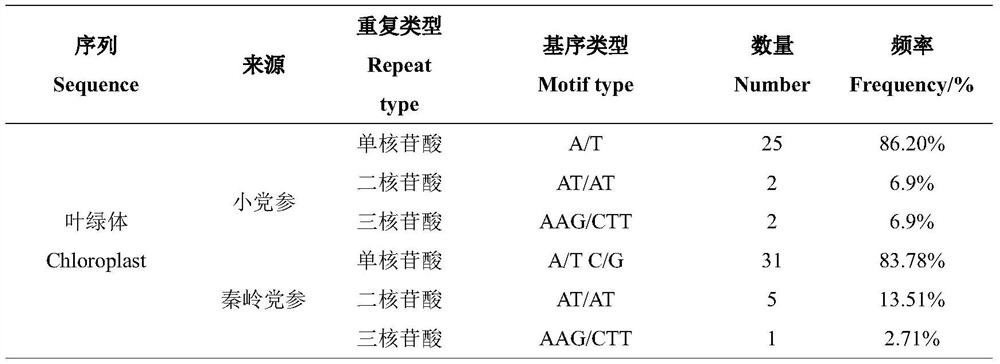 Codonopsis Wall. species cpSSR molecular marker and application thereof