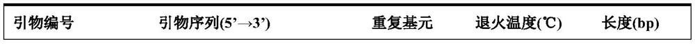 Codonopsis Wall. species cpSSR molecular marker and application thereof